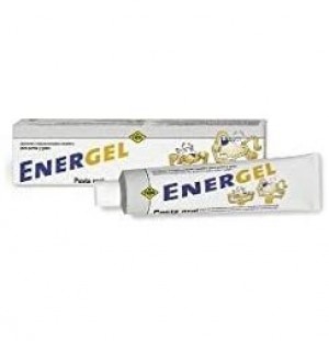 Energel Oral Paste 80 Gr